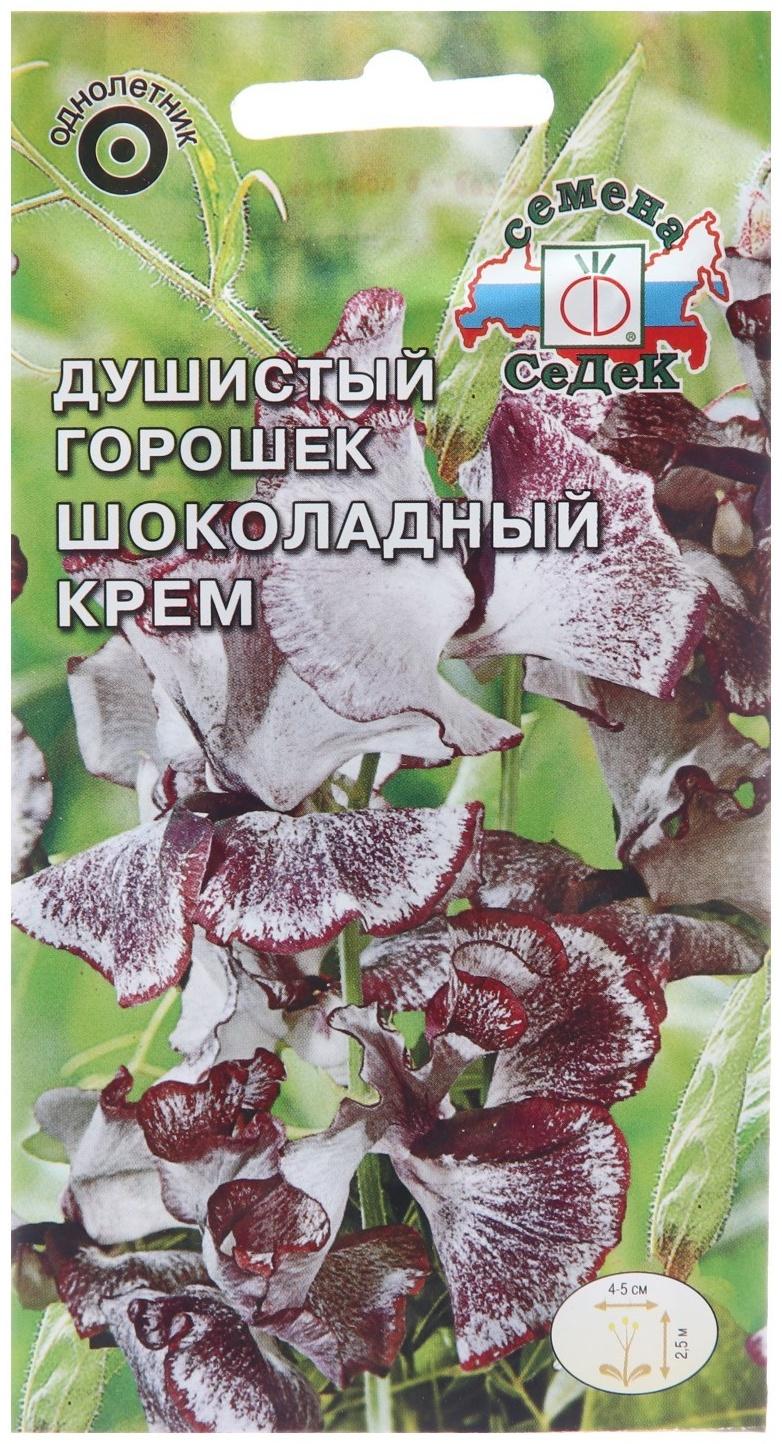 Семена цветов Душистый горошек 