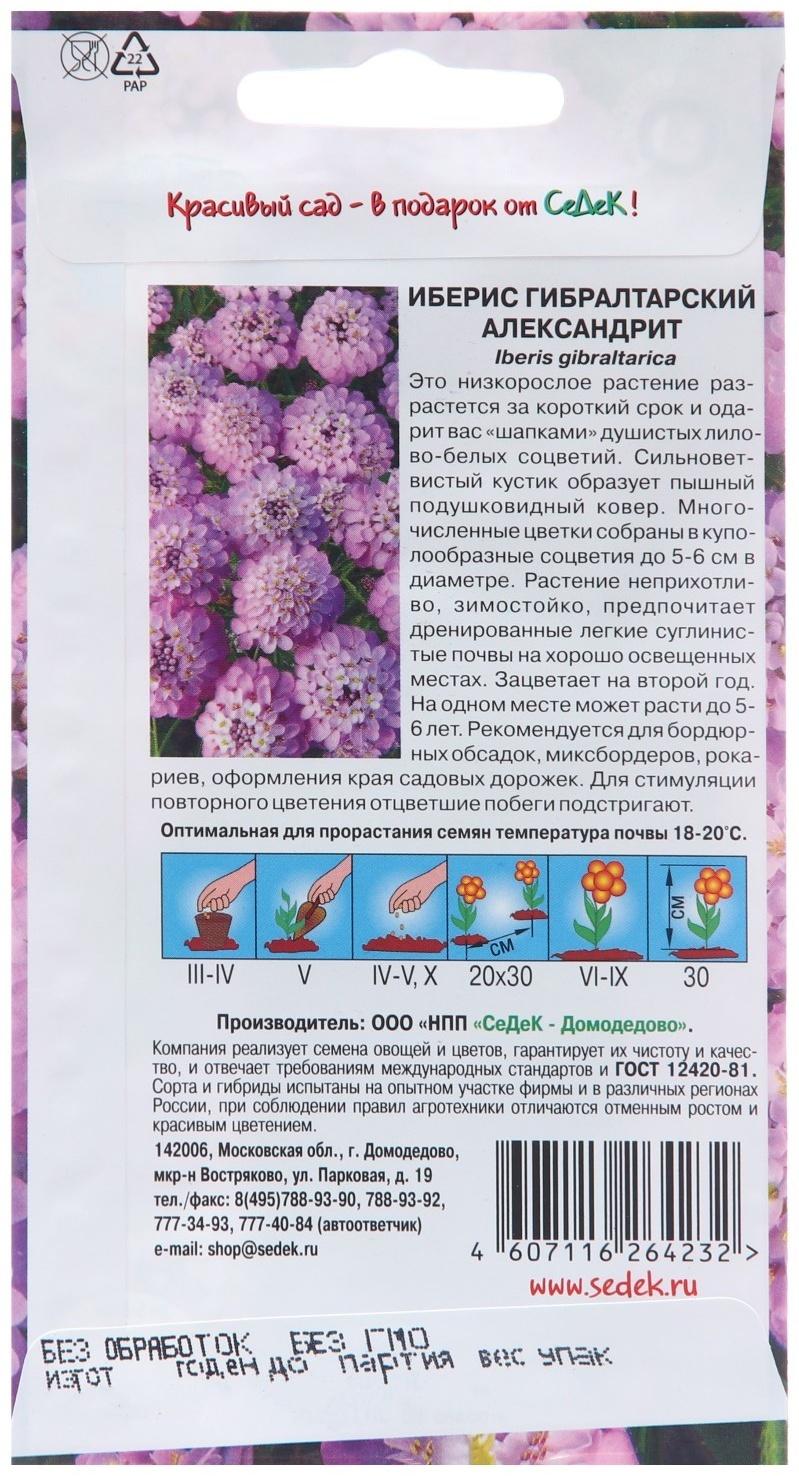 Семена цветов Иберис 