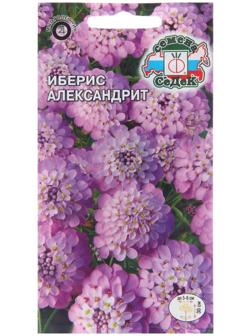 Семена цветов Иберис 