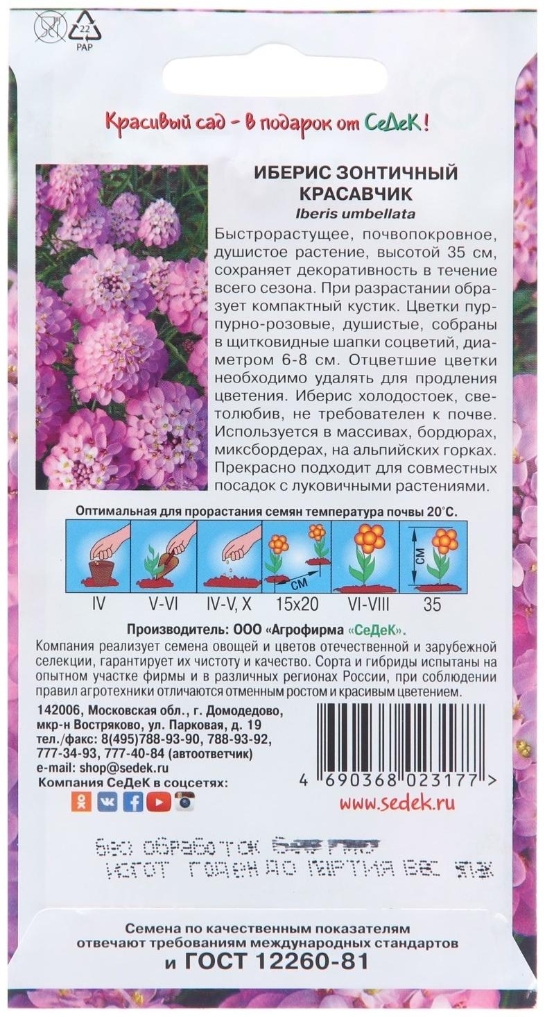 Семена цветов Иберис 