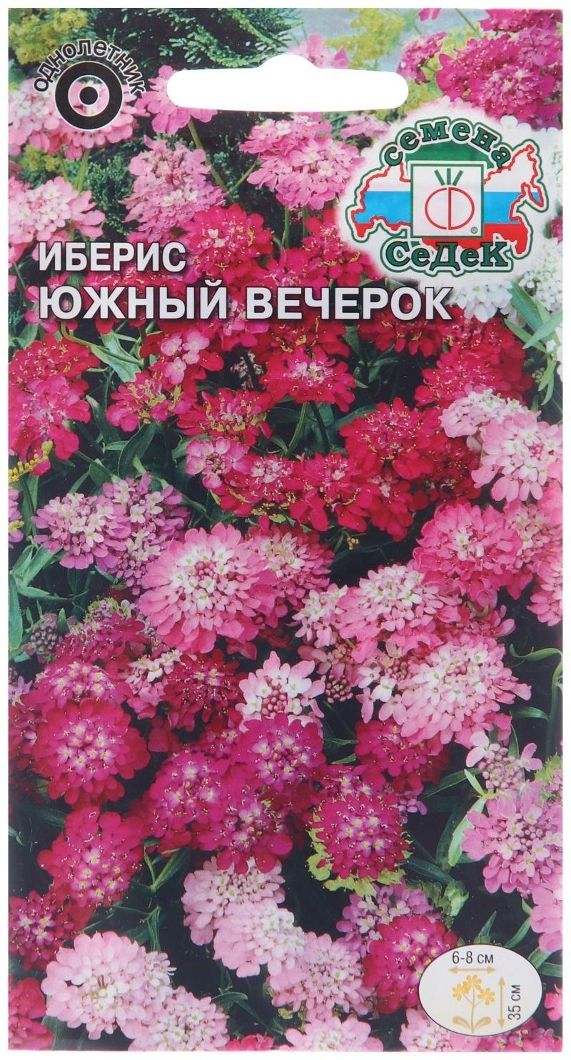 Семена цветов Иберис 