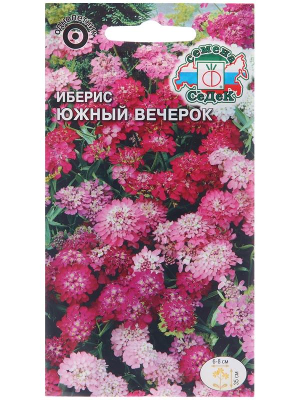 Семена цветов Иберис 