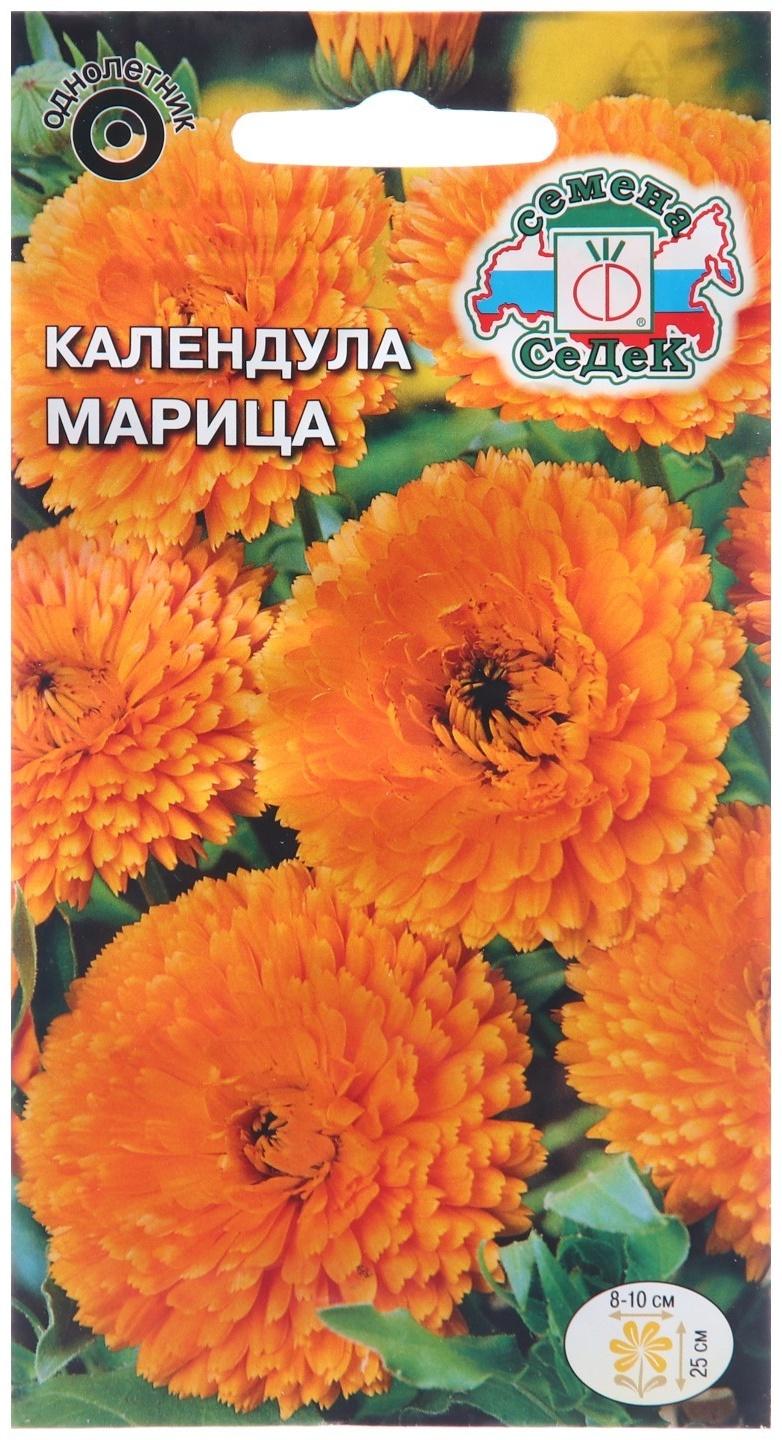 Семена цветов Календула