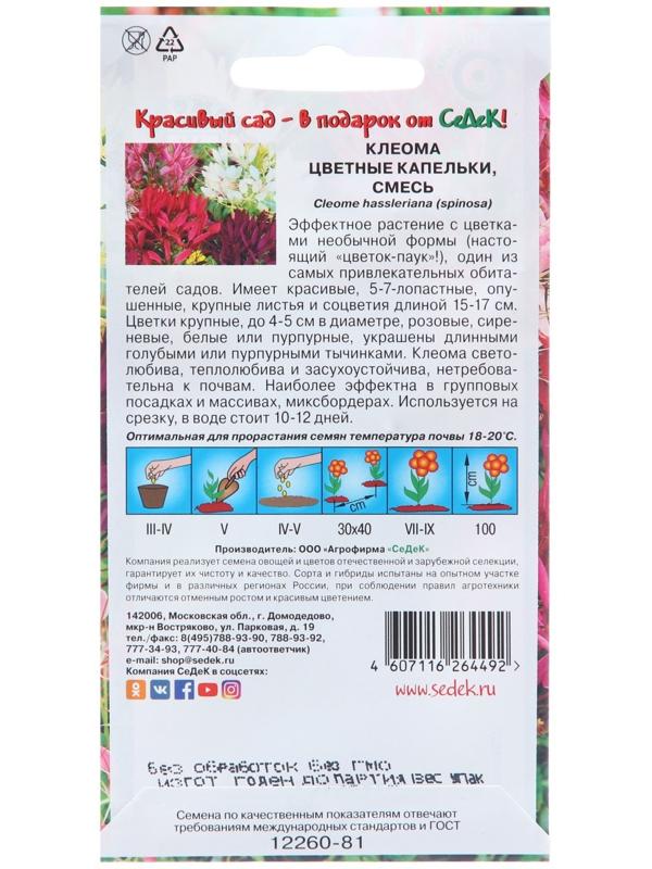 Семена цветов Клеома 