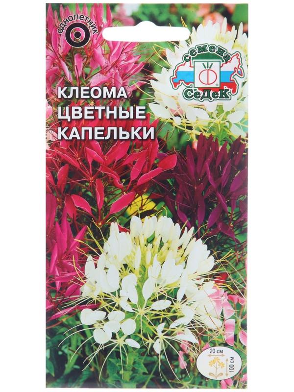 Семена цветов Клеома 
