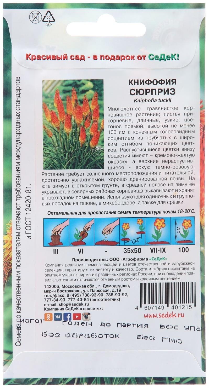 Семена цветов Книфофия 