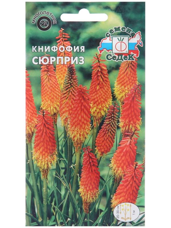 Семена цветов Книфофия 