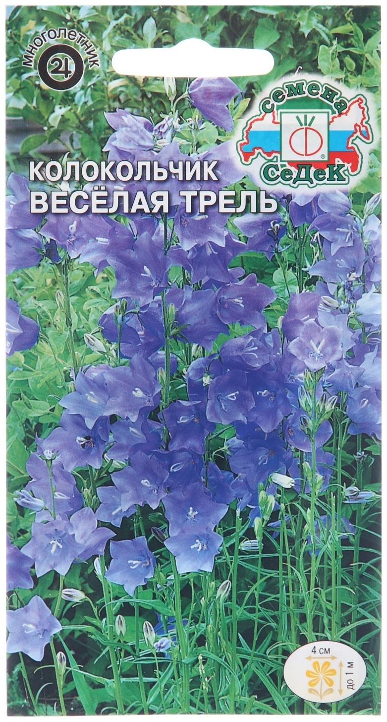 Семена цветов Колокольчик 
