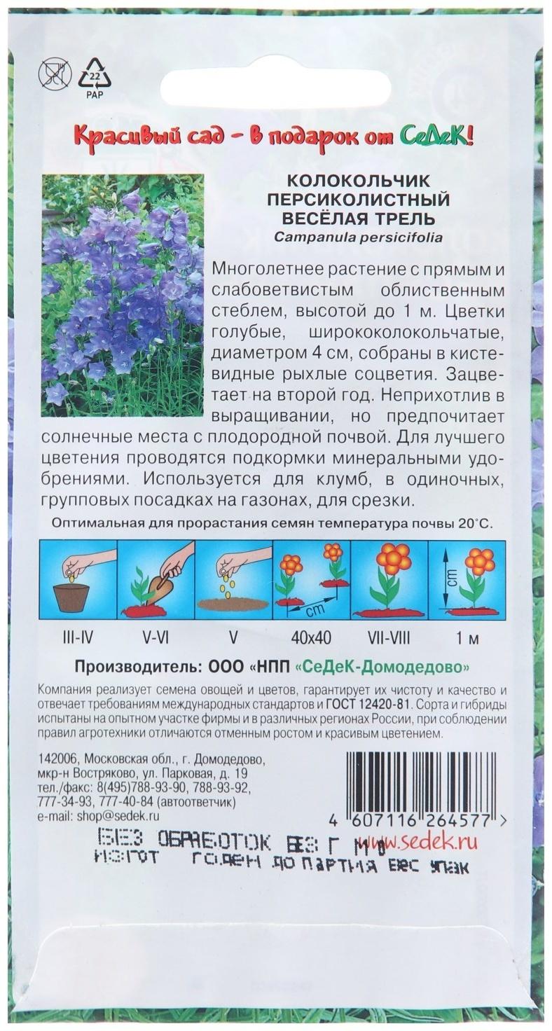 Семена цветов Колокольчик 