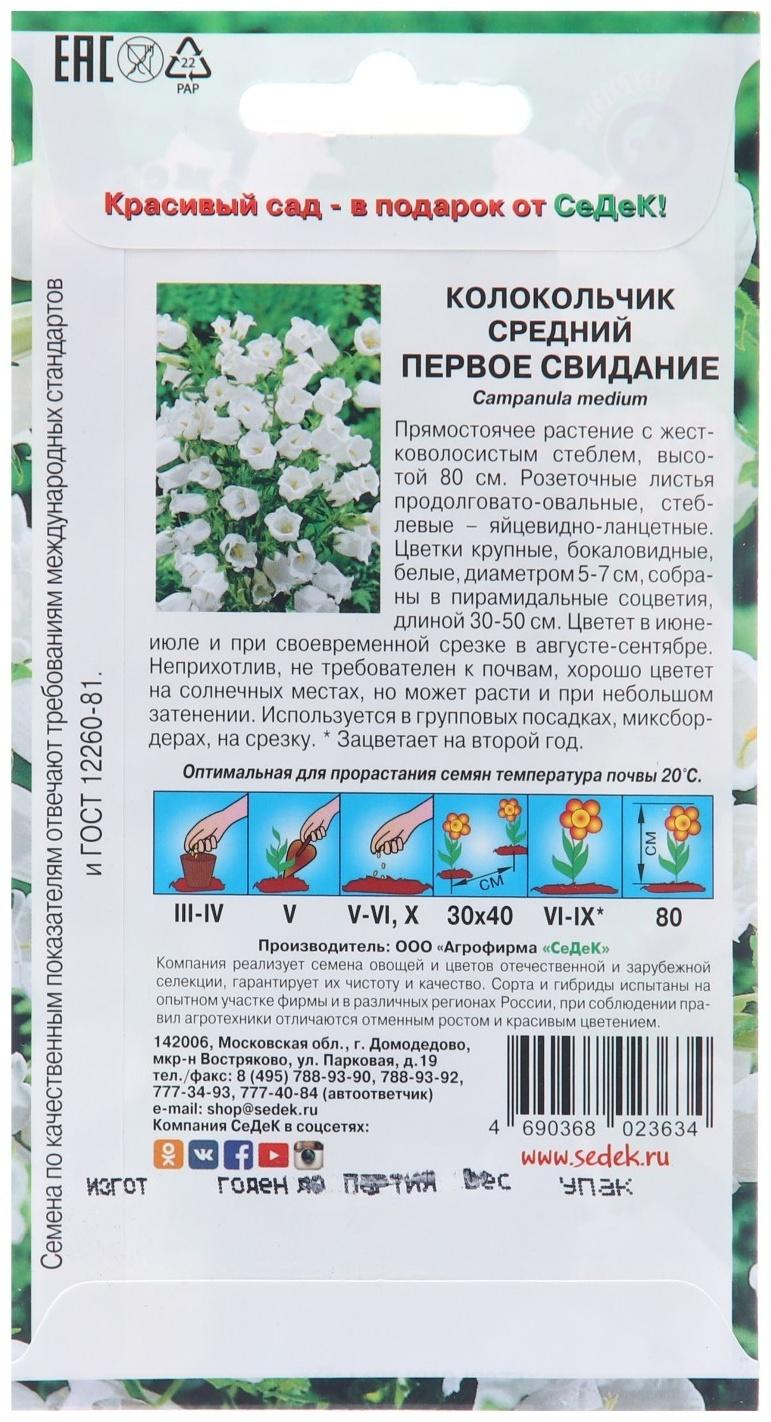 Семена цветов Колокольчик 