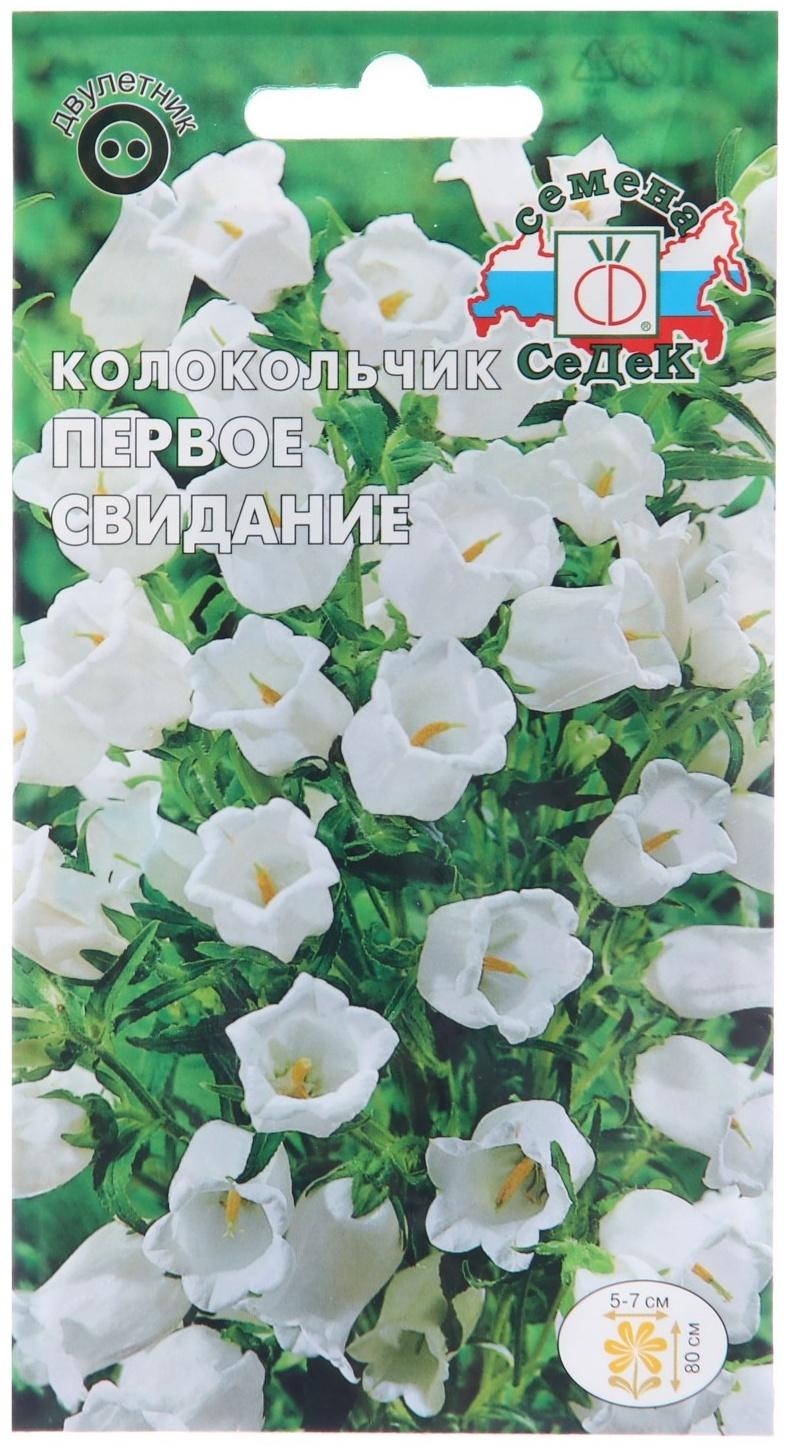 Семена цветов Колокольчик 