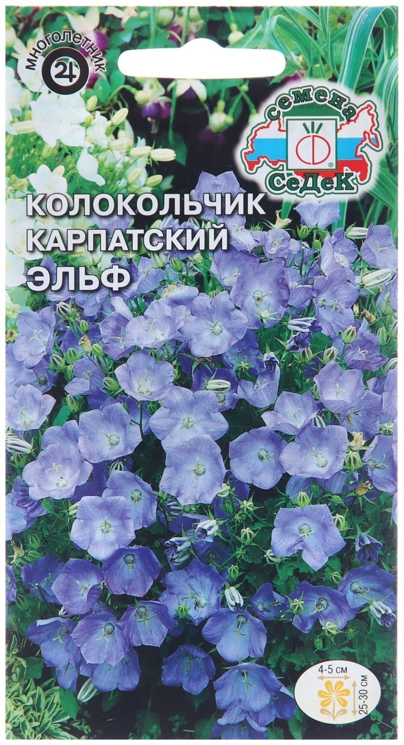 Семена цветов Колокольчик 