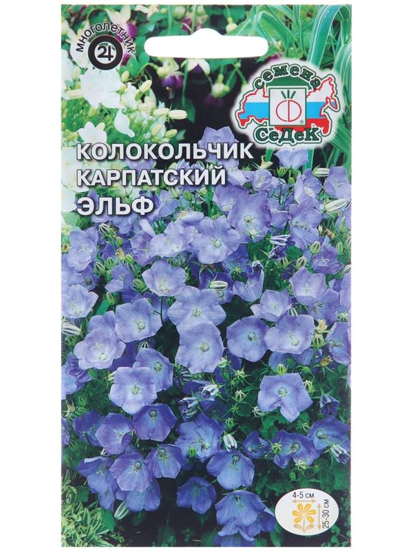 Семена цветов Колокольчик 