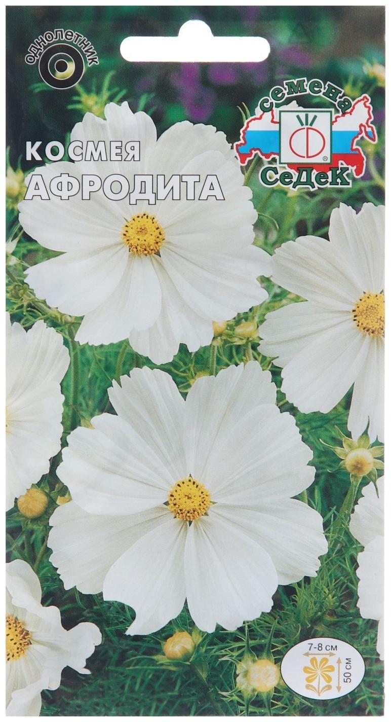 Семена цветов Космея 