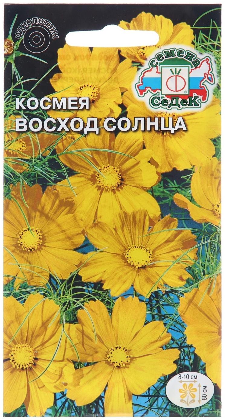 Семена цветов Космея 