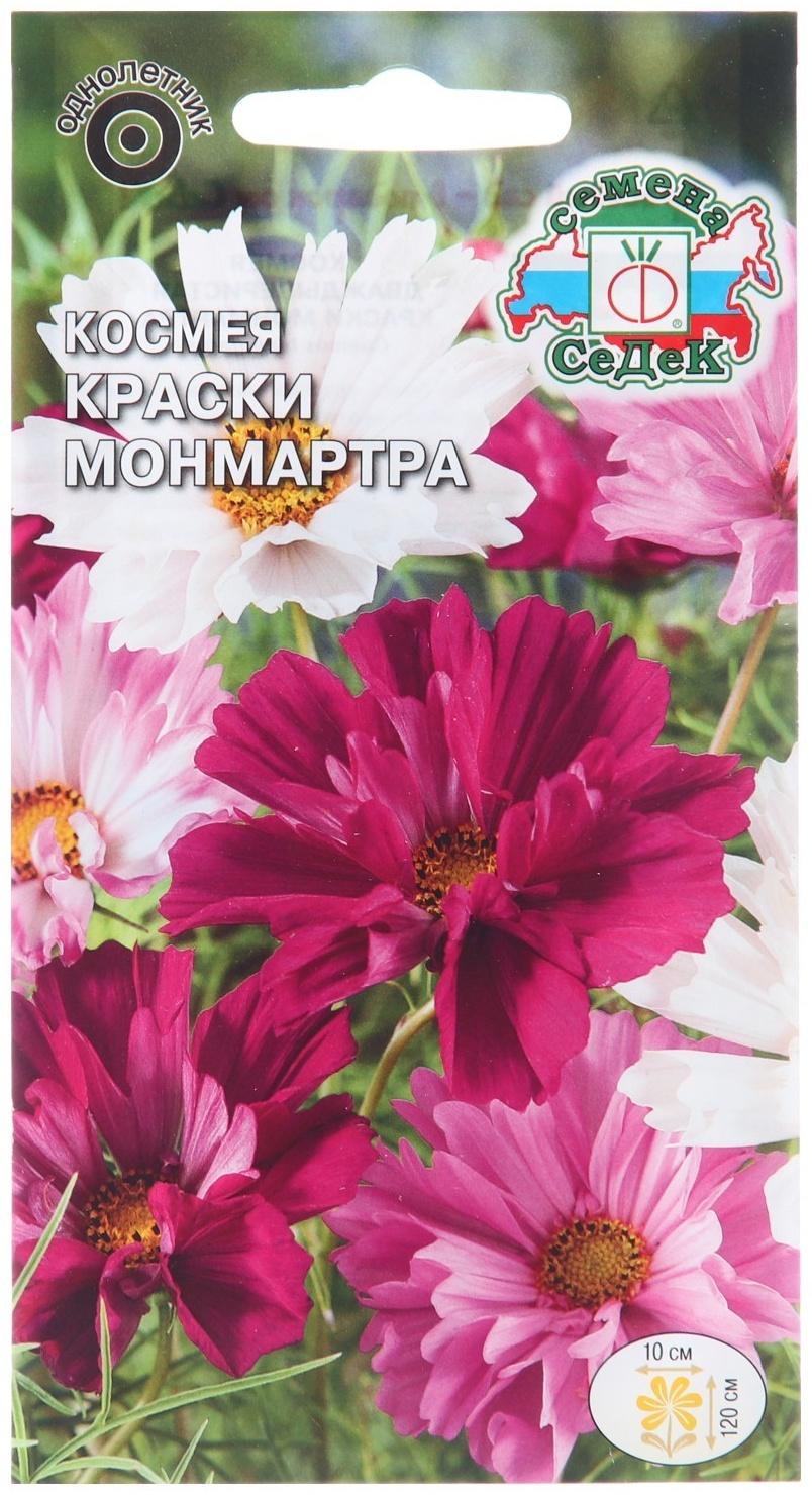 Семена цветов Космея 