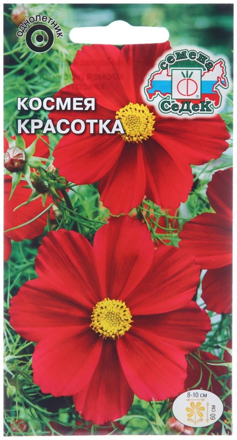 Семена цветов Космея 