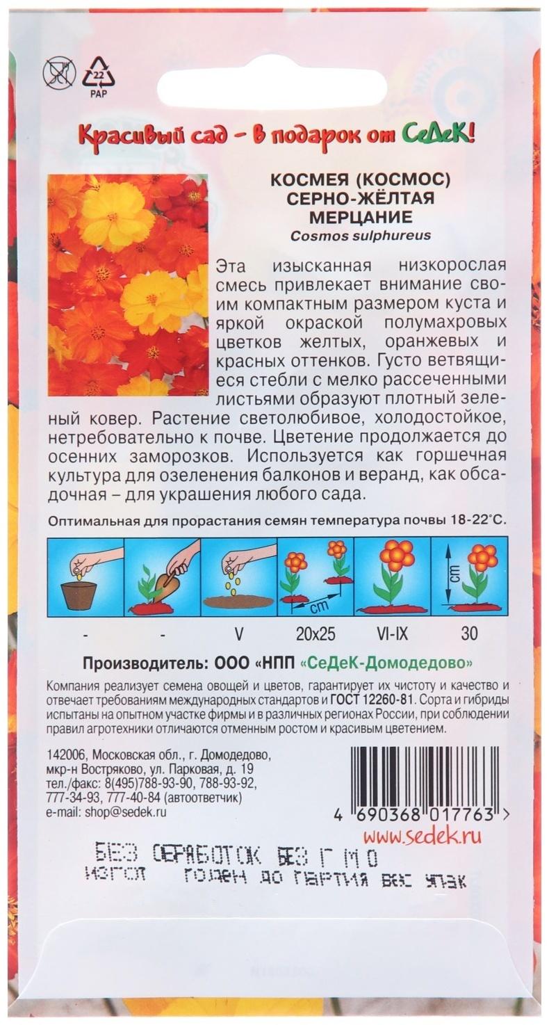 Семена цветов Космея 