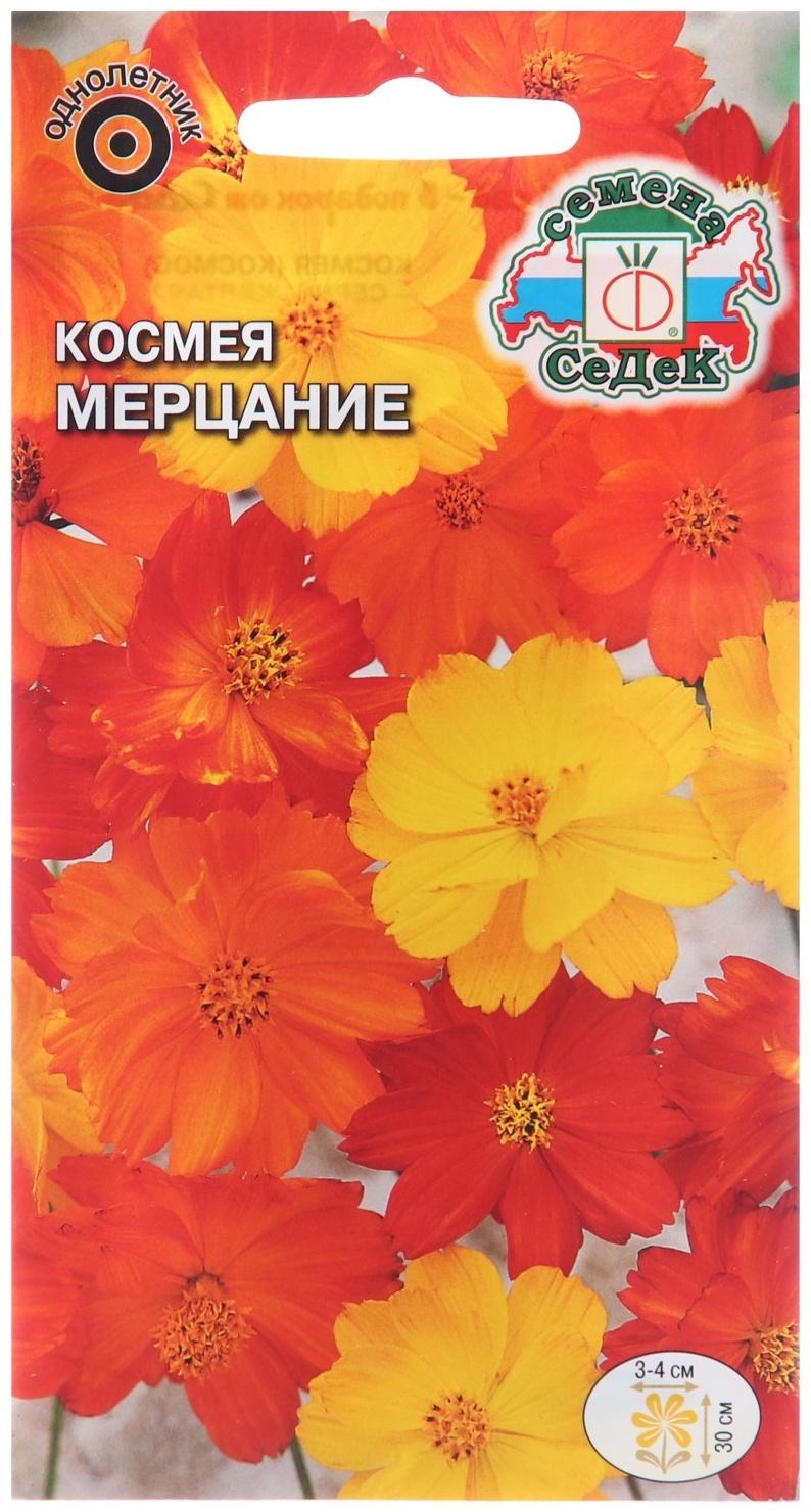 Семена цветов Космея 