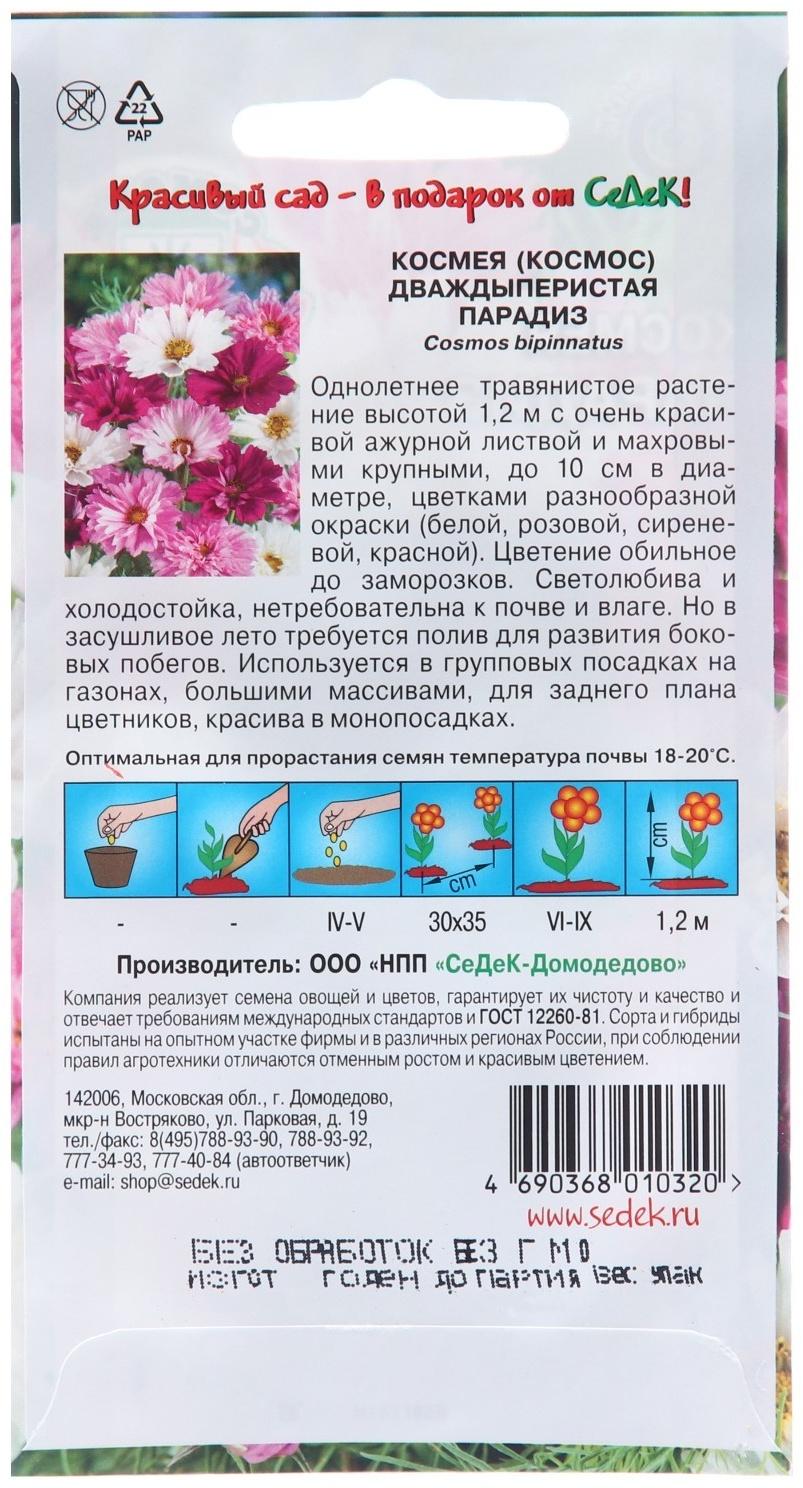 Семена цветов Космея 