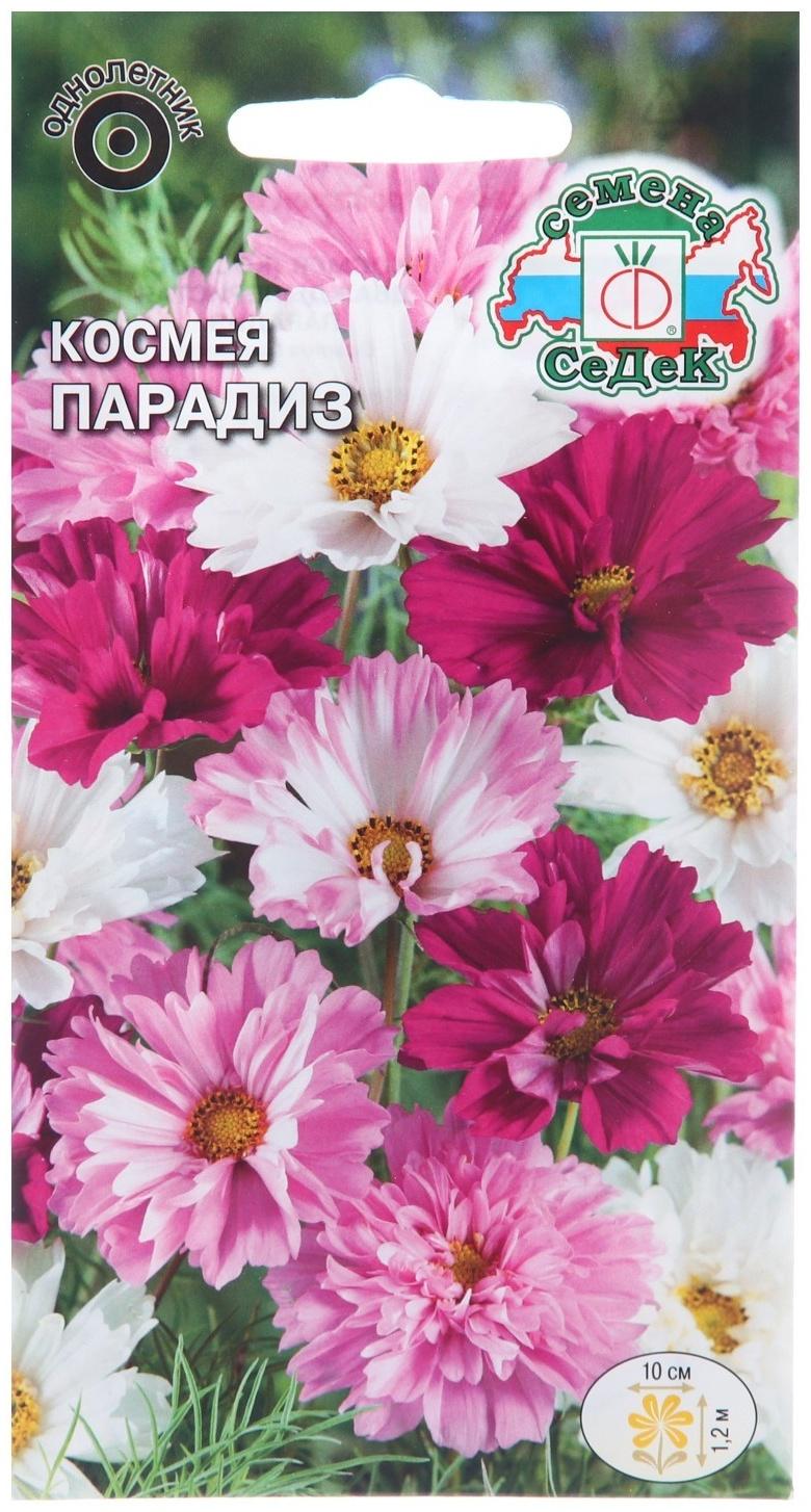 Семена цветов Космея 