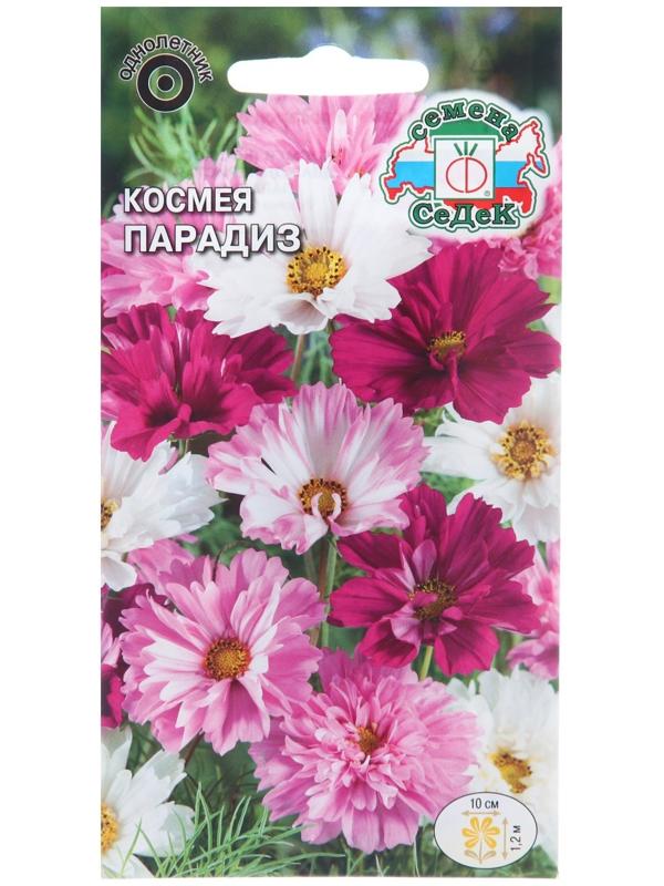 Семена цветов Космея 