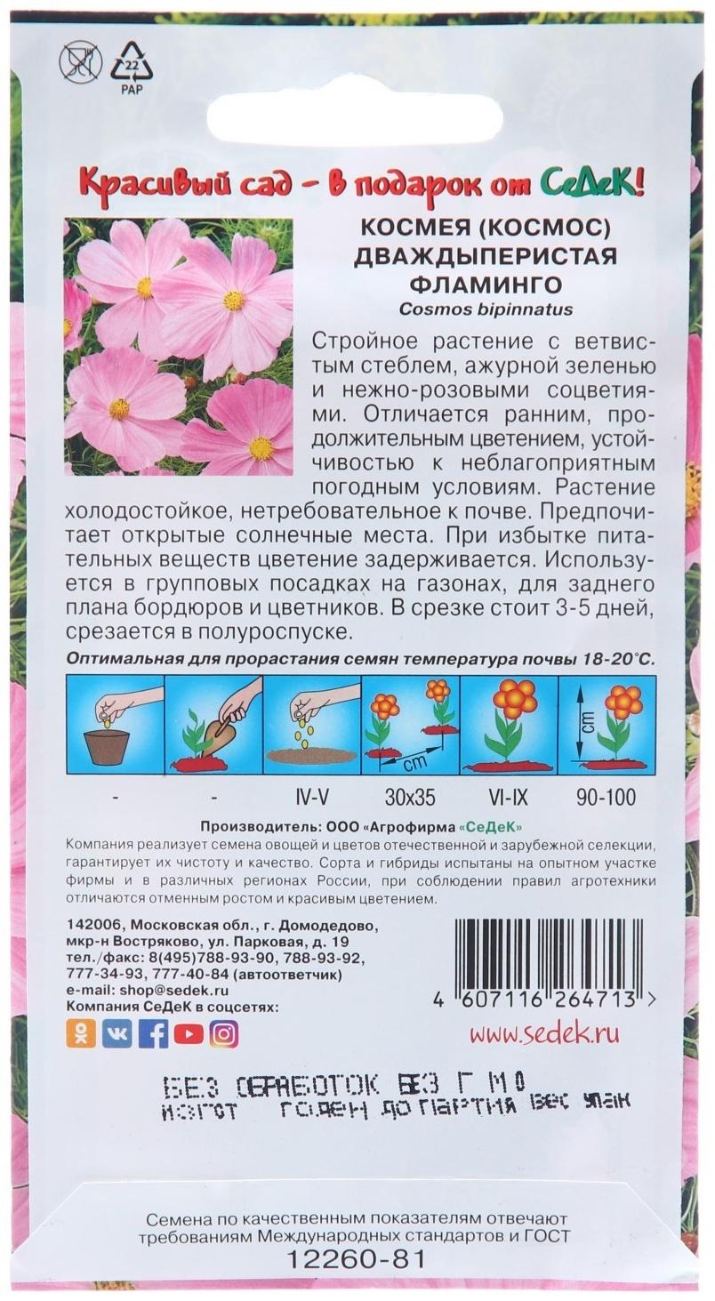 Семена цветов Космея 