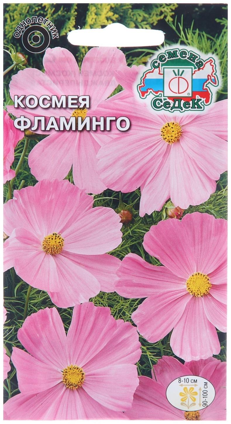 Семена цветов Космея 