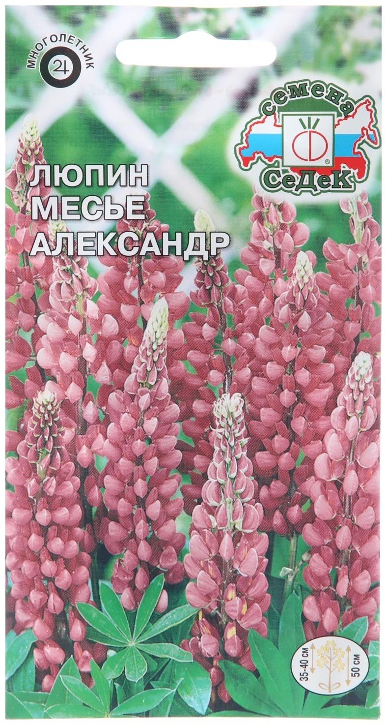Семена цветов Люпин 