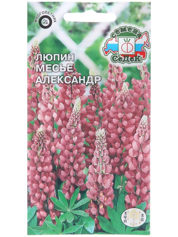 Семена цветов Люпин 