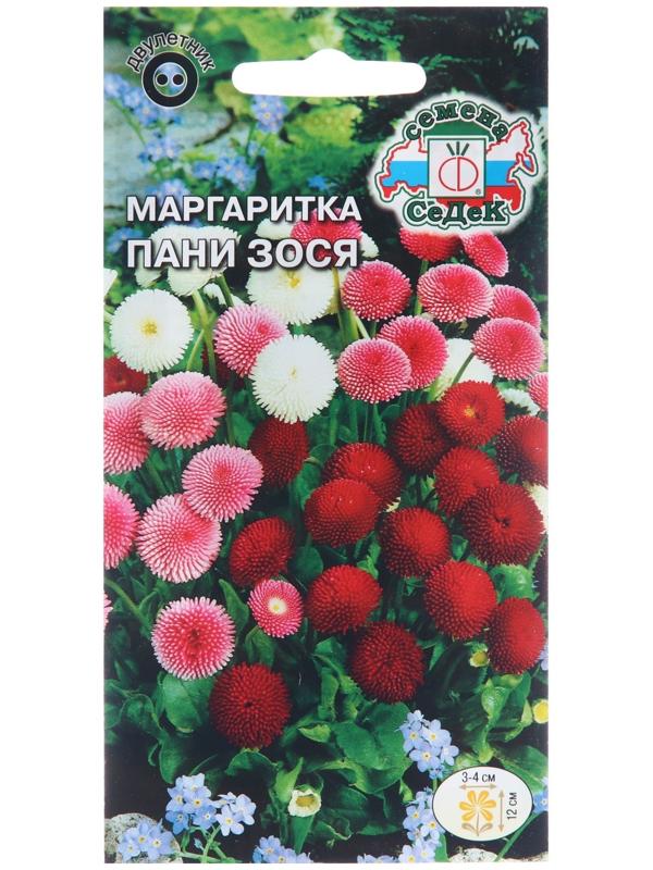 Семена цветов Маргаритка 