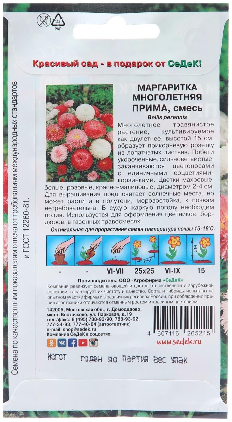 Семена цветов Маргаритка 