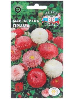 Семена цветов Маргаритка 