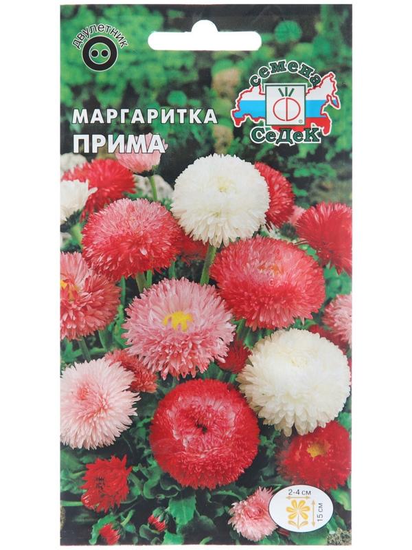 Семена цветов Маргаритка 