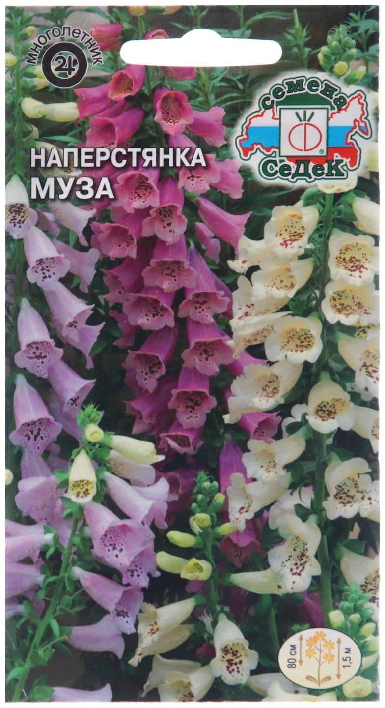Семена цветов Наперстянка 