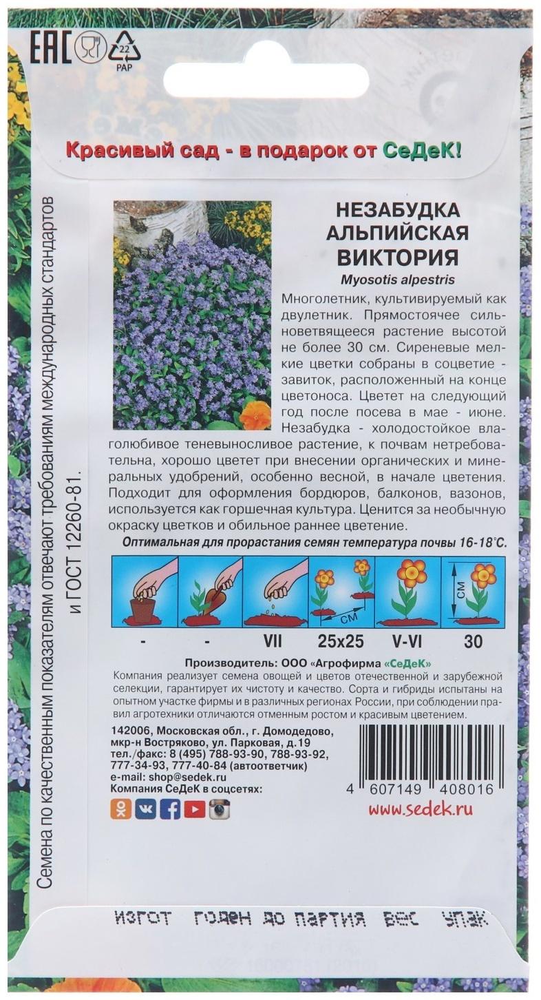 Семена цветов Незабудка 