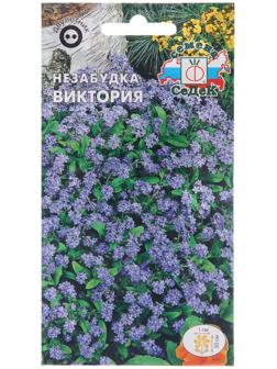 Семена цветов Незабудка 