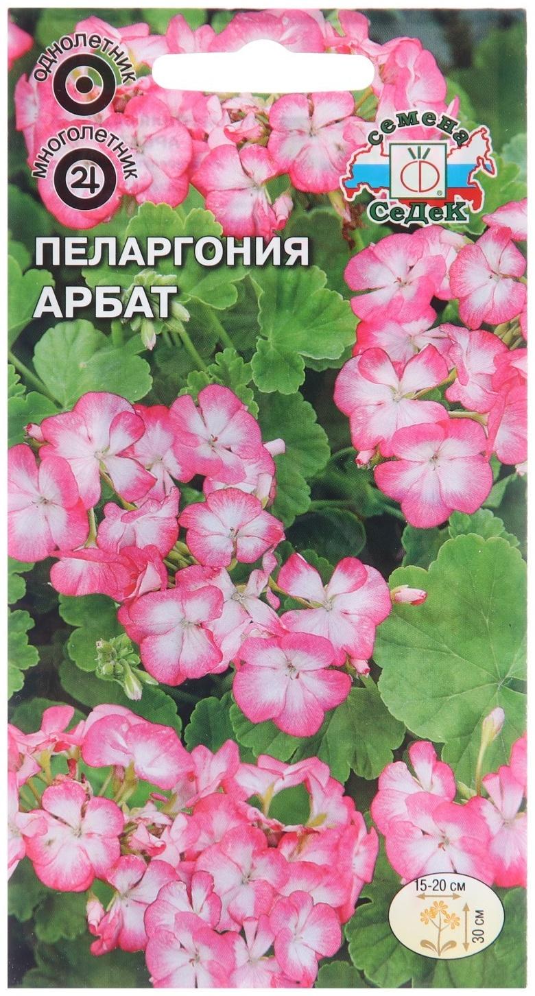 Семена цветов Пеларгония 