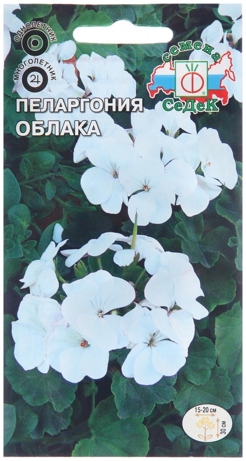 Семена цветов Пеларгония 