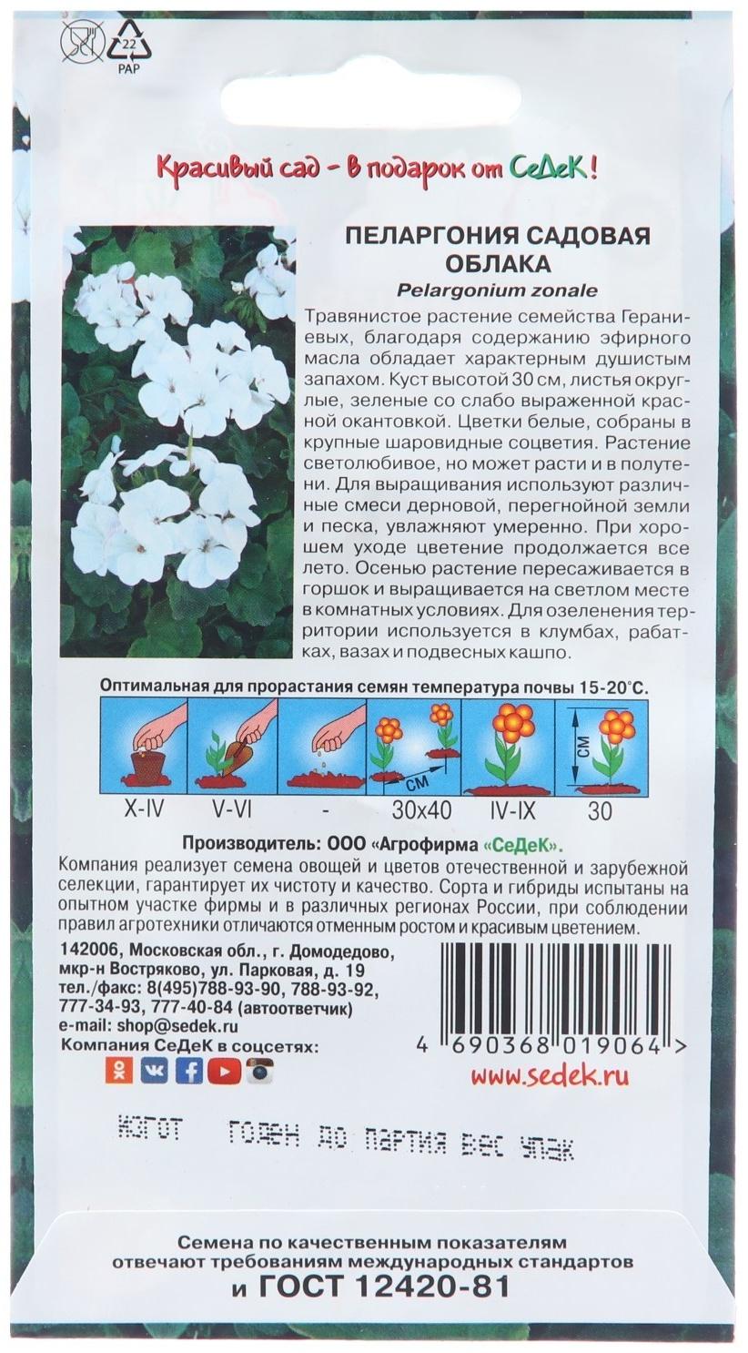 Семена цветов Пеларгония 