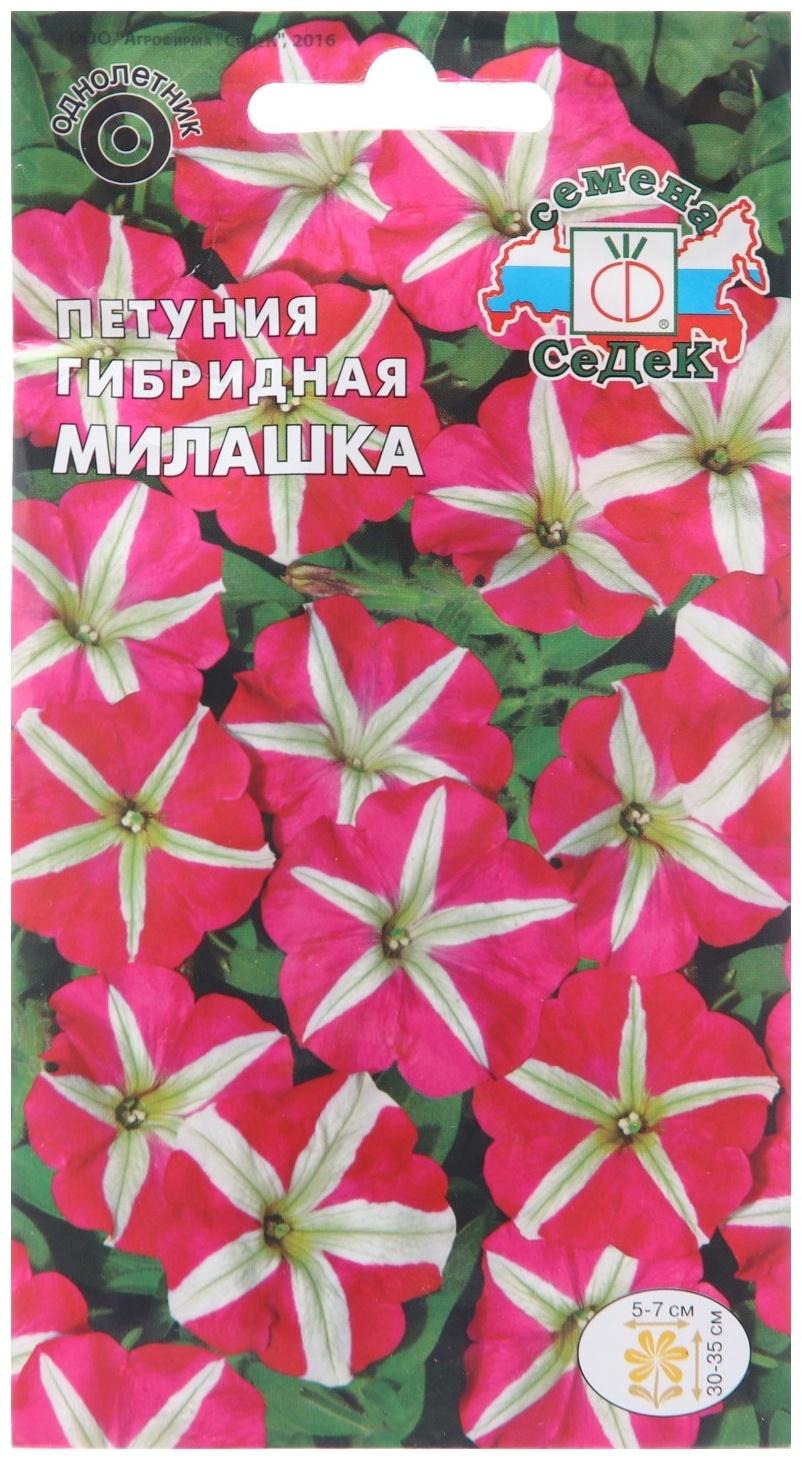 Семена цветов Петуния 