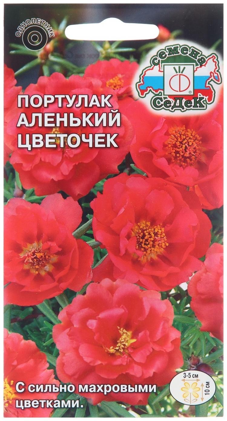 Семена цветов Портулак 