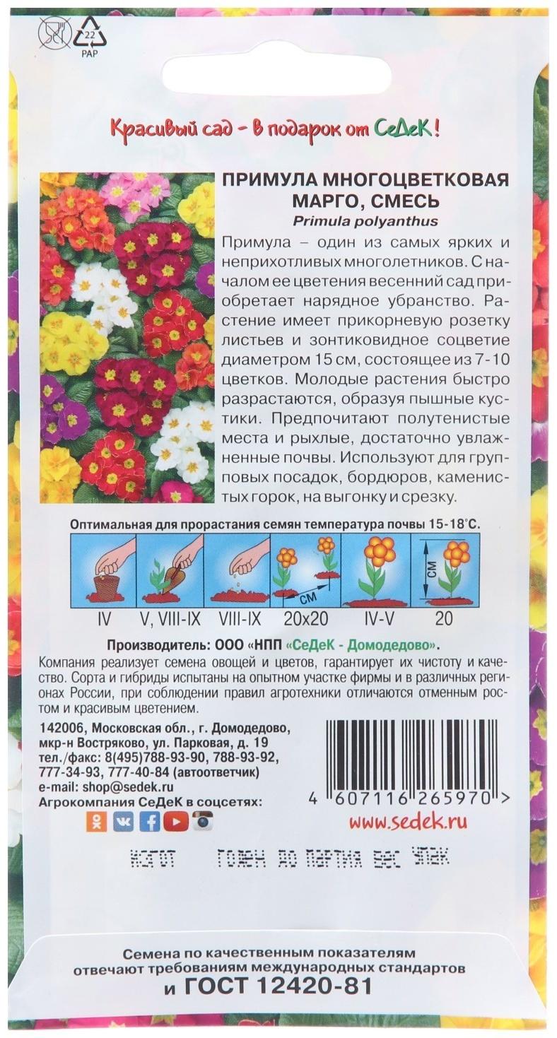 Семена цветов Примула 