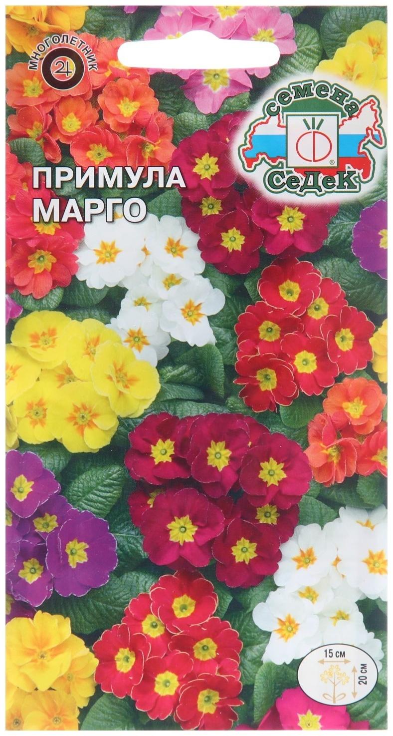 Семена цветов Примула 