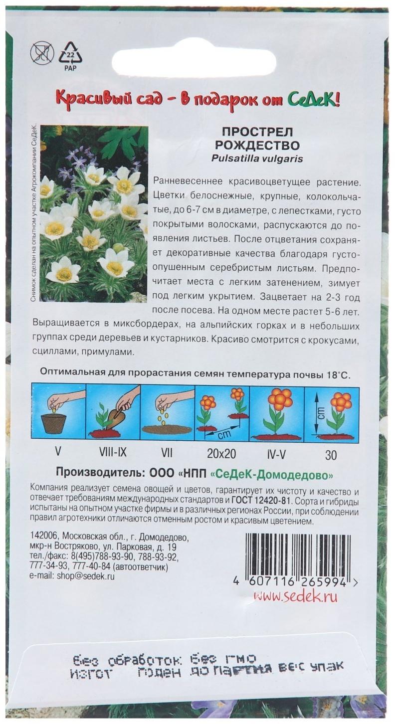 Семена цветов Прострел 