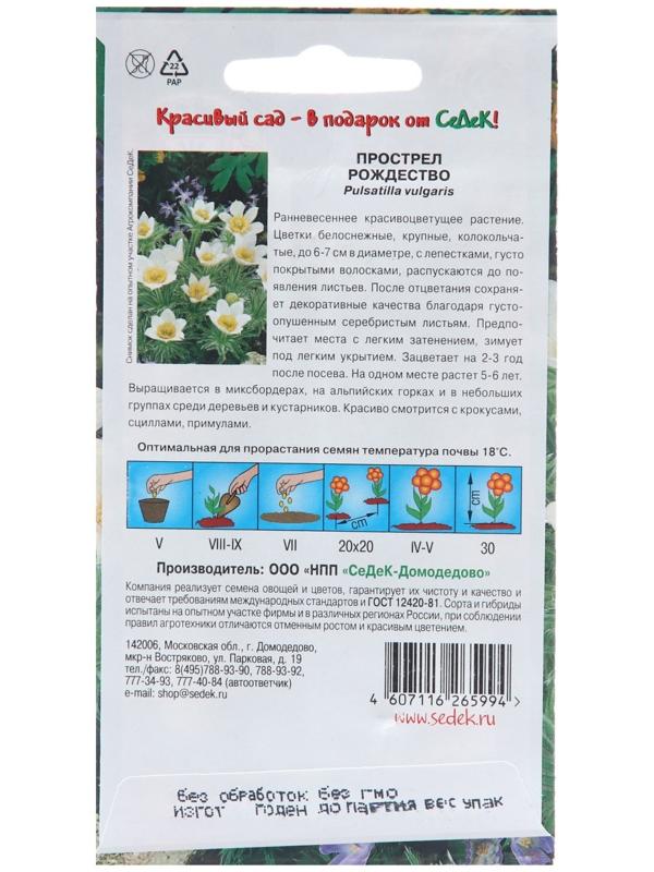 Семена цветов Прострел 