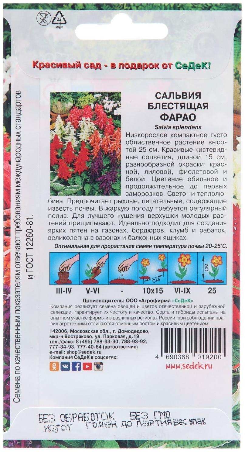 Семена цветов Сальвия