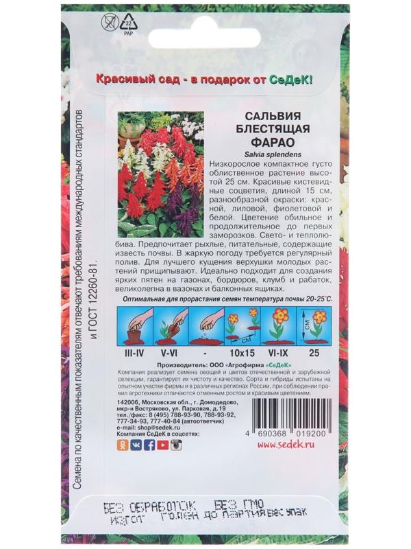 Семена цветов Сальвия