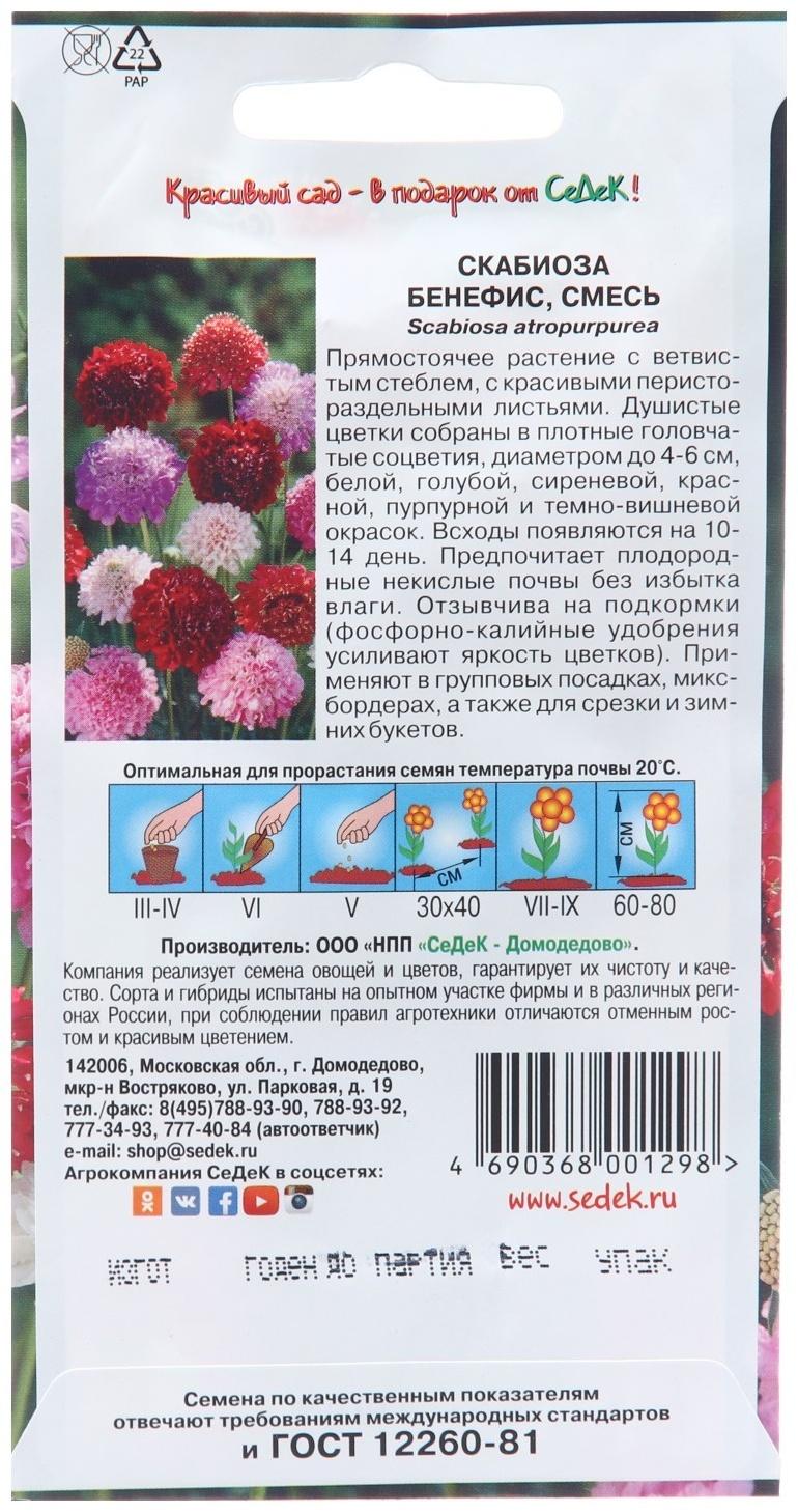 Семена цветов Скабиоза 