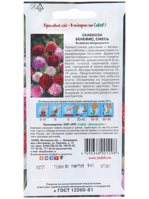 Семена цветов Скабиоза 